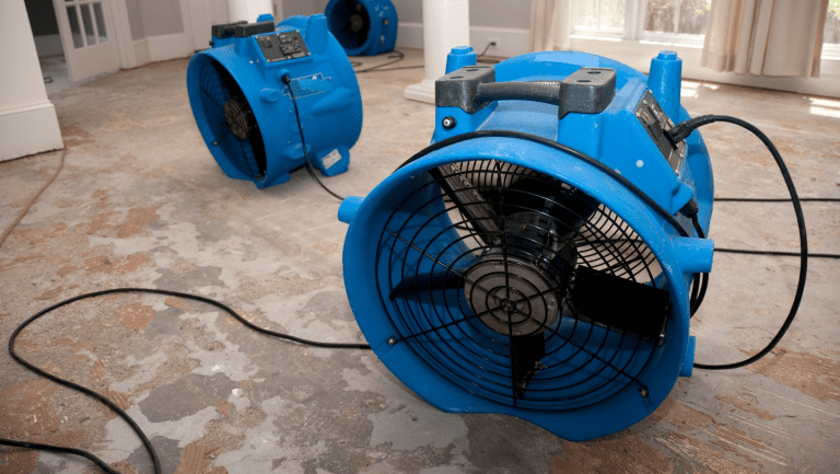 flood damage cleaning