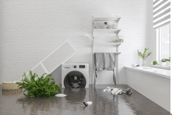 flooding removal