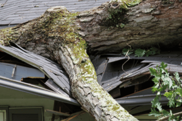 storm damage repairs